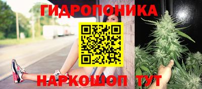 каннабис Будённовск