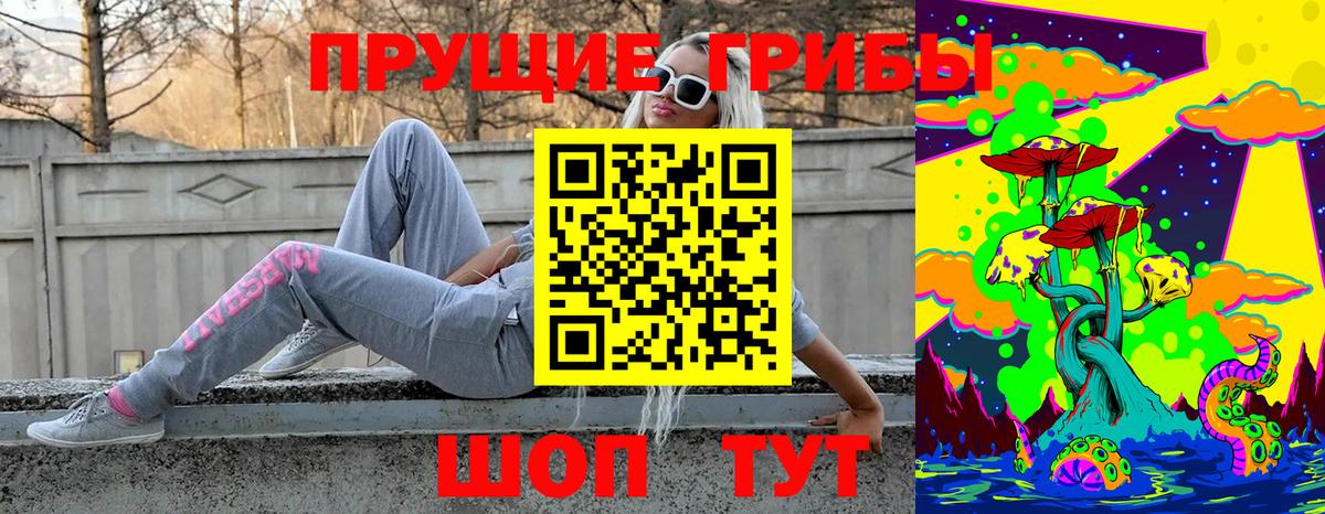 Псилоцибиновые грибы Psilocybe  Псилоцибиновые грибы Psilocybe  Глазов  Вход с VPN 